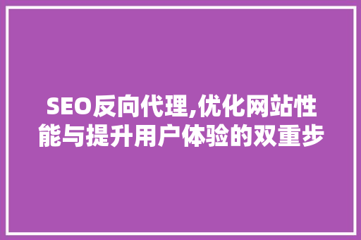 SEO反向代理,优化网站性能与提升用户体验的双重步骤