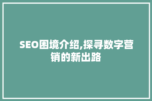 SEO困境介绍,探寻数字营销的新出路