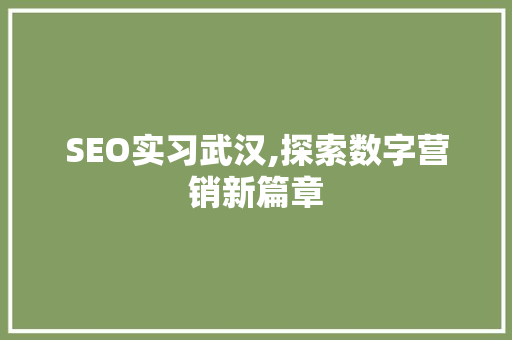 SEO实习武汉,探索数字营销新篇章  第1张