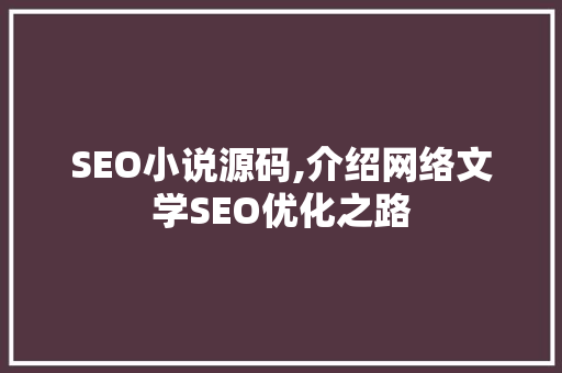 SEO小说源码,介绍网络文学SEO优化之路