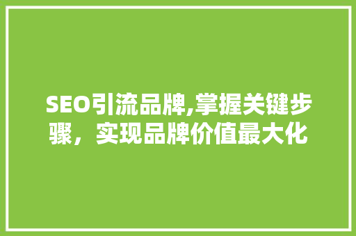 SEO引流品牌,掌握关键步骤，实现品牌价值最大化