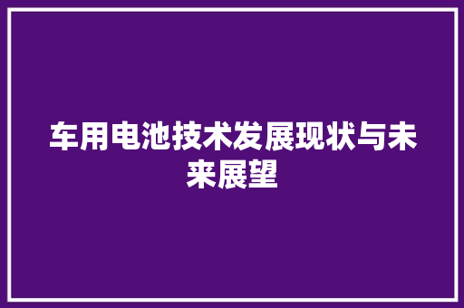 车用电池技术发展现状与未来展望