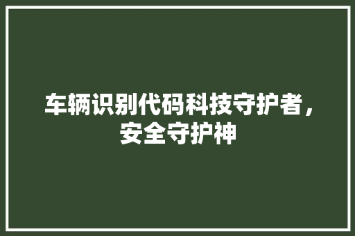 车辆识别代码科技守护者，安全守护神  第1张