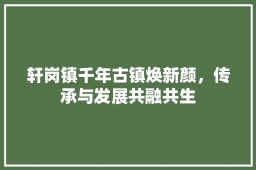轩岗镇千年古镇焕新颜，传承与发展共融共生