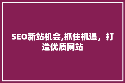 SEO新站机会,抓住机遇，打造优质网站  第1张
