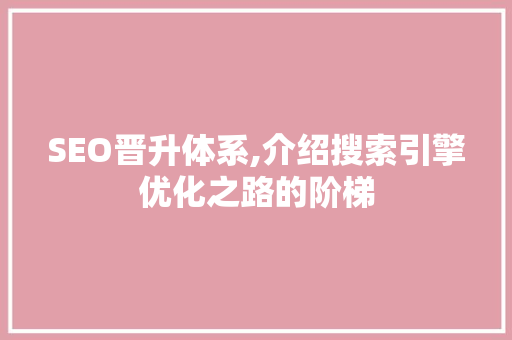 SEO晋升体系,介绍搜索引擎优化之路的阶梯