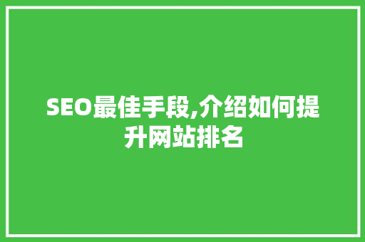 SEO最佳手段,介绍如何提升网站排名