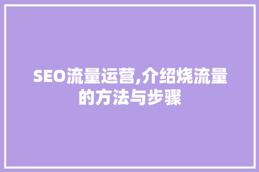 SEO流量运营,介绍烧流量的方法与步骤