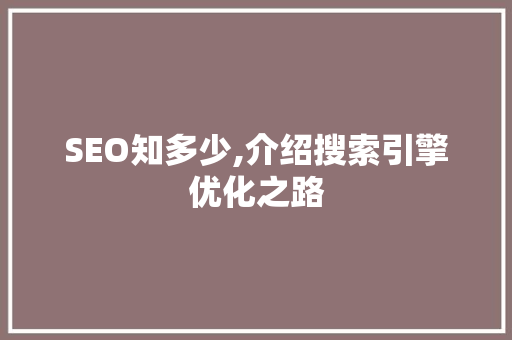 SEO知多少,介绍搜索引擎优化之路