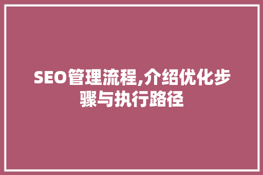 SEO管理流程,介绍优化步骤与执行路径  第1张