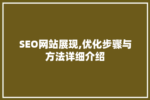 SEO网站展现,优化步骤与方法详细介绍