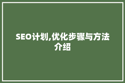 SEO计划,优化步骤与方法介绍