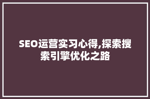 SEO运营实习心得,探索搜索引擎优化之路