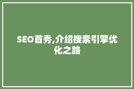 SEO首秀,介绍搜索引擎优化之路