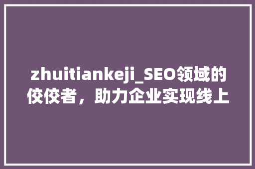 zhuitiankeji_SEO领域的佼佼者，助力企业实现线上增长