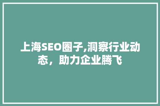 上海SEO圈子,洞察行业动态，助力企业腾飞