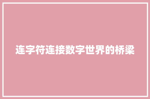 连字符连接数字世界的桥梁