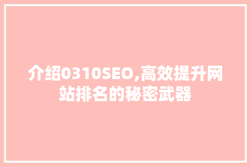 介绍0310SEO,高效提升网站排名的秘密武器