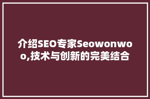 介绍SEO专家Seowonwoo,技术与创新的完美结合