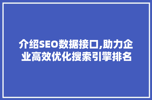 介绍SEO数据接口,助力企业高效优化搜索引擎排名