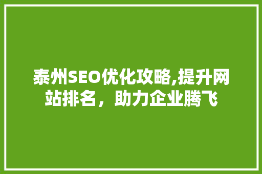 泰州SEO优化攻略,提升网站排名，助力企业腾飞