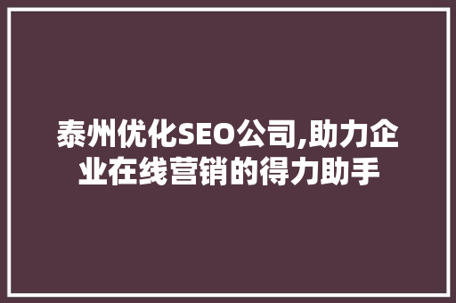 泰州优化SEO公司,助力企业在线营销的得力助手