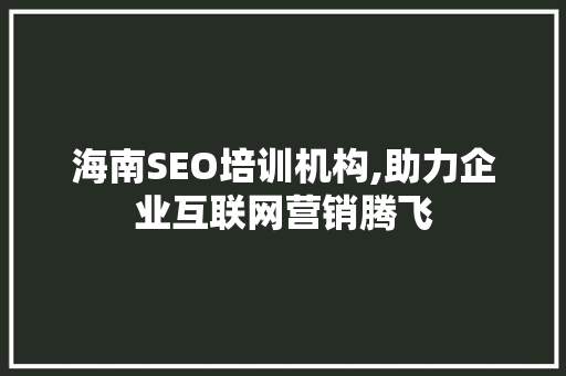 海南SEO培训机构,助力企业互联网营销腾飞