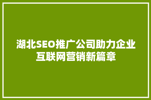 湖北SEO推广公司助力企业互联网营销新篇章