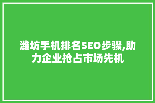 潍坊手机排名SEO步骤,助力企业抢占市场先机