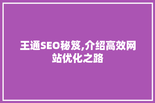王通SEO秘笈,介绍高效网站优化之路