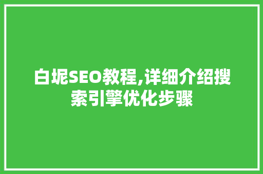 白坭SEO教程,详细介绍搜索引擎优化步骤