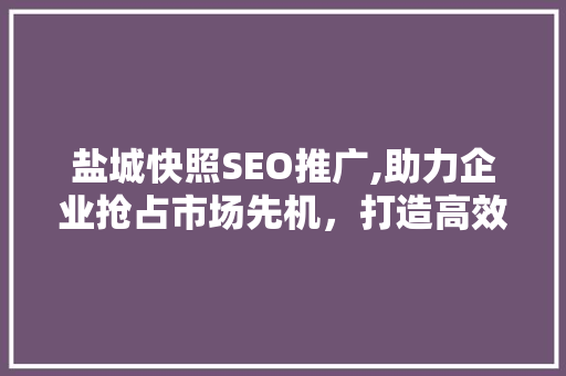 盐城快照SEO推广,助力企业抢占市场先机，打造高效网络营销步骤