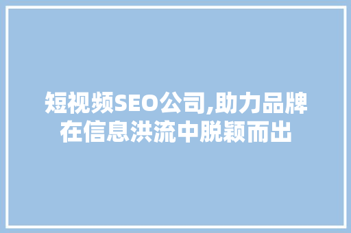 短视频SEO公司,助力品牌在信息洪流中脱颖而出