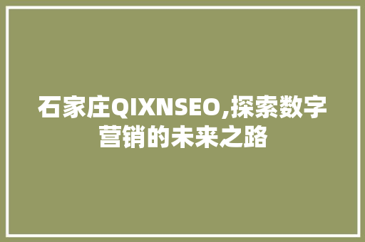 石家庄QIXNSEO,探索数字营销的未来之路