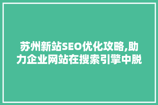 苏州新站SEO优化攻略,助力企业网站在搜索引擎中脱颖而出