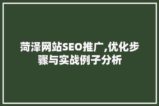菏泽网站SEO推广,优化步骤与实战例子分析