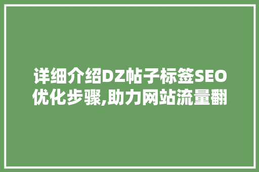 详细介绍DZ帖子标签SEO优化步骤,助力网站流量翻倍