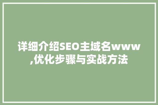 详细介绍SEO主域名www,优化步骤与实战方法