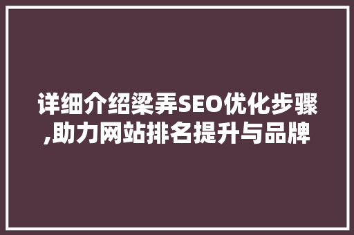 详细介绍梁弄SEO优化步骤,助力网站排名提升与品牌建设