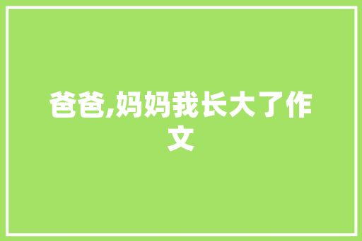 贵州SEO快排,介绍高效优化步骤，助力企业腾飞