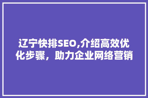 辽宁快排SEO,介绍高效优化步骤，助力企业网络营销腾飞
