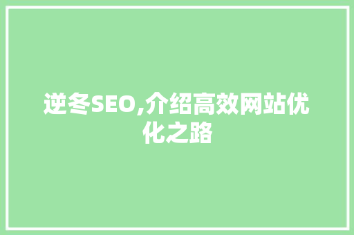 逆冬SEO,介绍高效网站优化之路  第1张