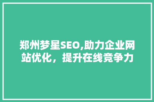 郑州梦星SEO,助力企业网站优化，提升在线竞争力