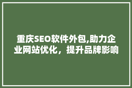 重庆SEO软件外包,助力企业网站优化，提升品牌影响力