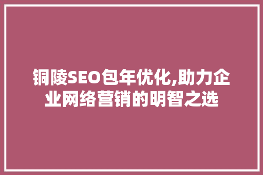 铜陵SEO包年优化,助力企业网络营销的明智之选