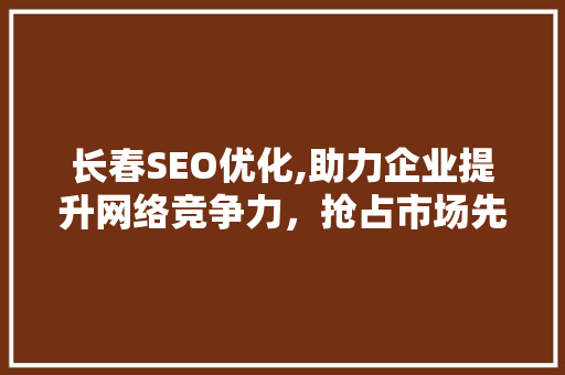 长春SEO优化,助力企业提升网络竞争力，抢占市场先机