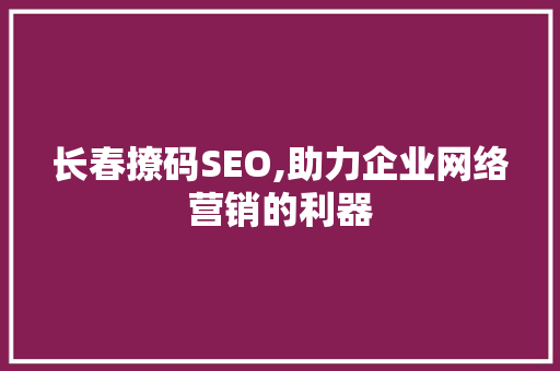 长春撩码SEO,助力企业网络营销的利器