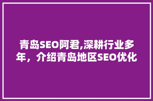 青岛SEO阿君,深耕行业多年，介绍青岛地区SEO优化之路