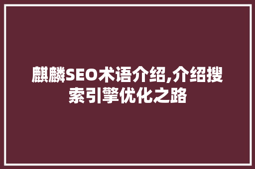 麒麟SEO术语介绍,介绍搜索引擎优化之路  第1张