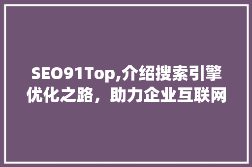 SEO91Top,介绍搜索引擎优化之路，助力企业互联网营销